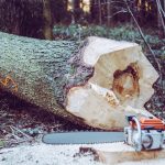 Photo Chainsaw, Stihl