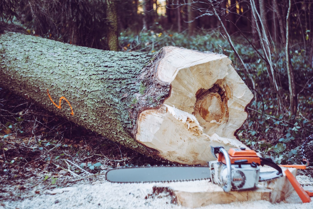 Photo Chainsaw, Stihl